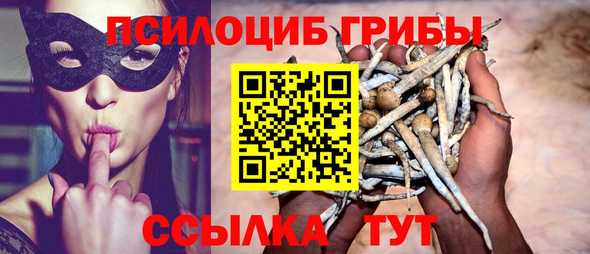 Галлюциногенные грибы Cubensis  Вход с VPN  Ставрополь  Галлюциногенные грибы Psilocybe 